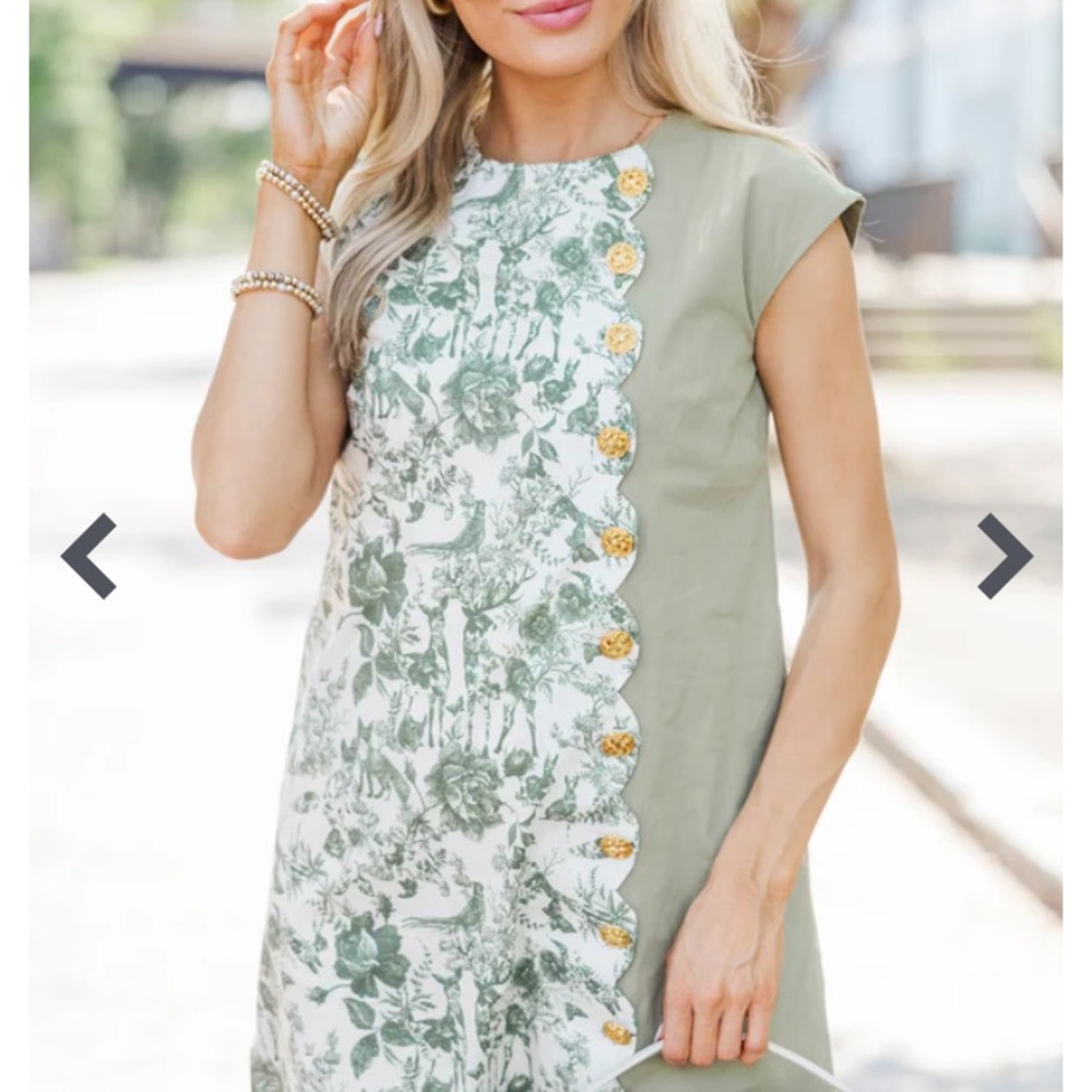 Shop the Mint Toile Scalloped Dress size XS